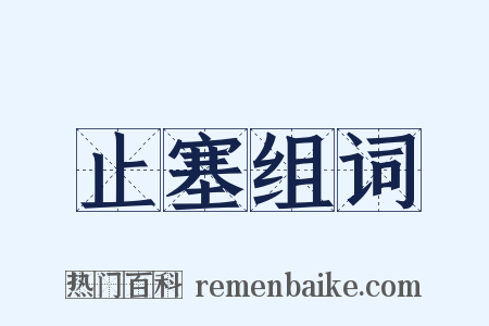 止塞组词是什么意思的图片